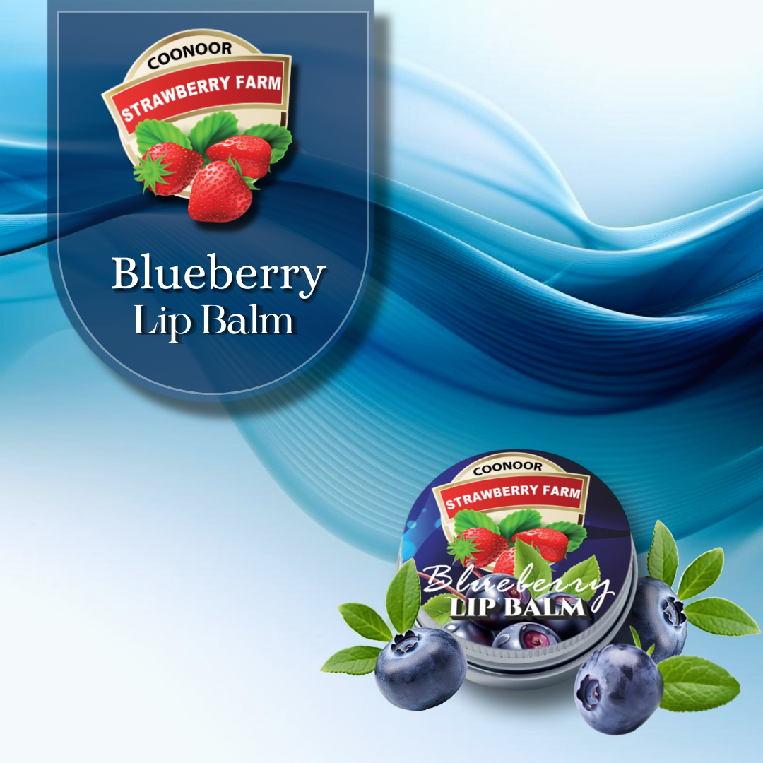 Blueberry Lipbalm