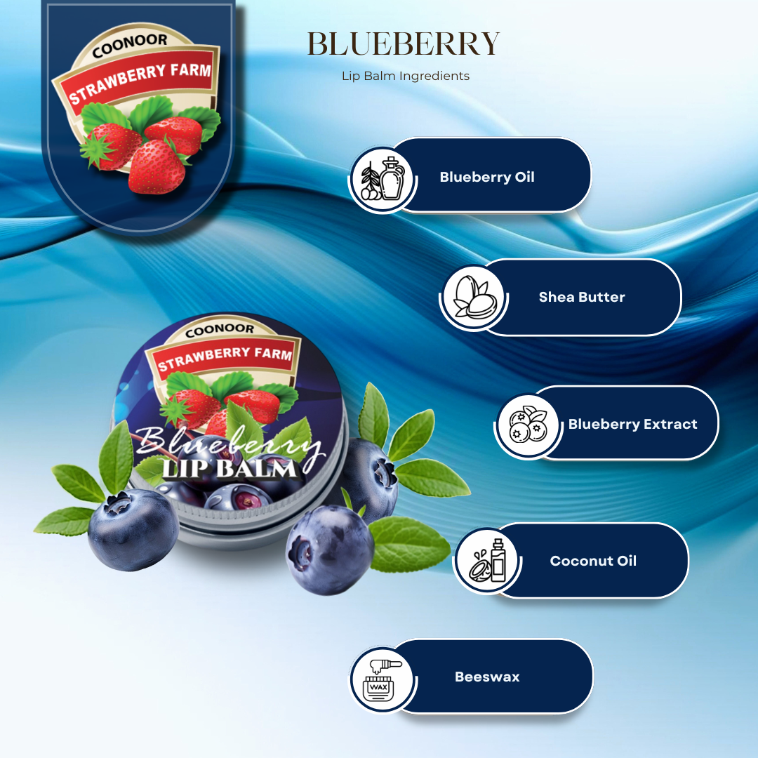 Blueberry Lipbalm