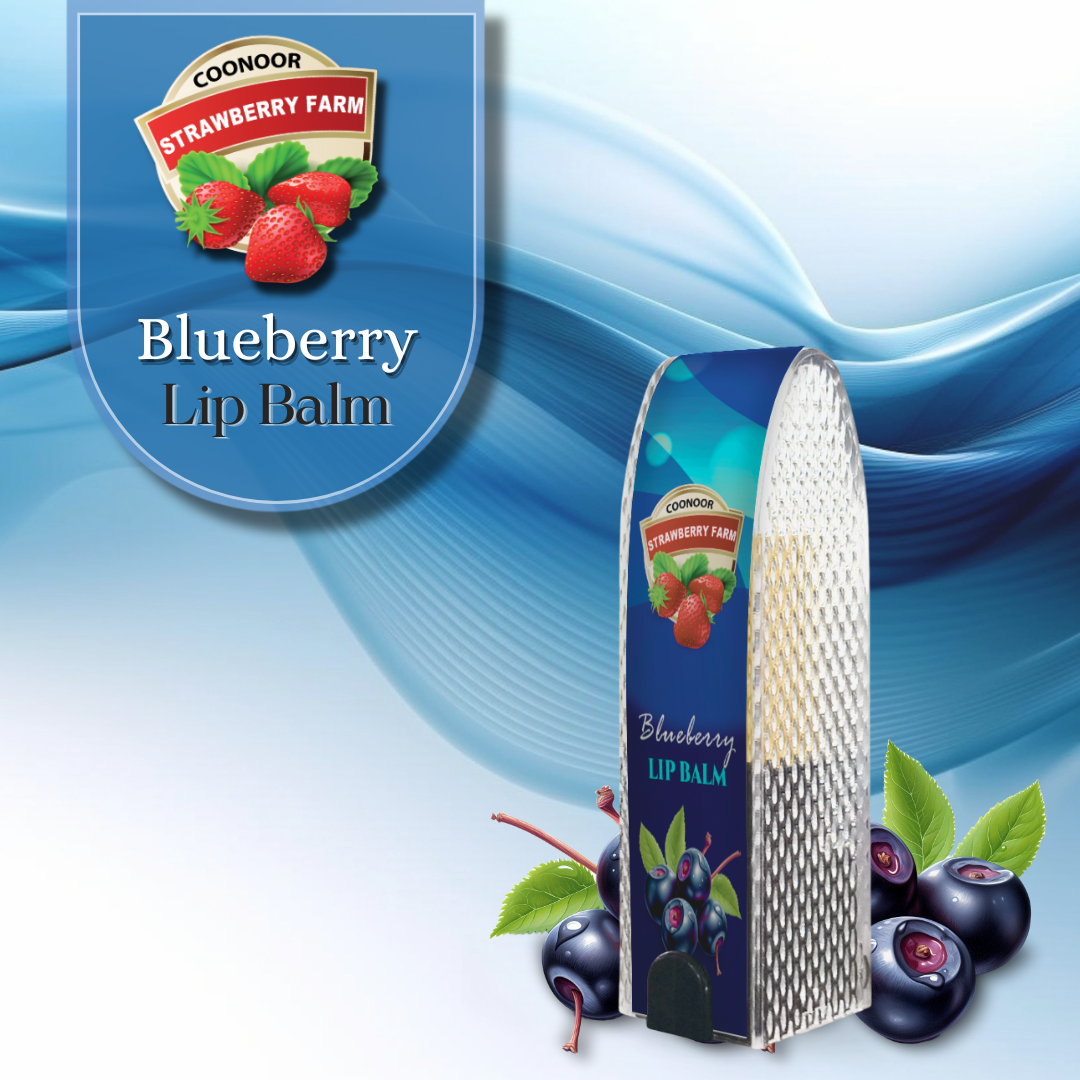 Blueberry Chapstick Lipbalm