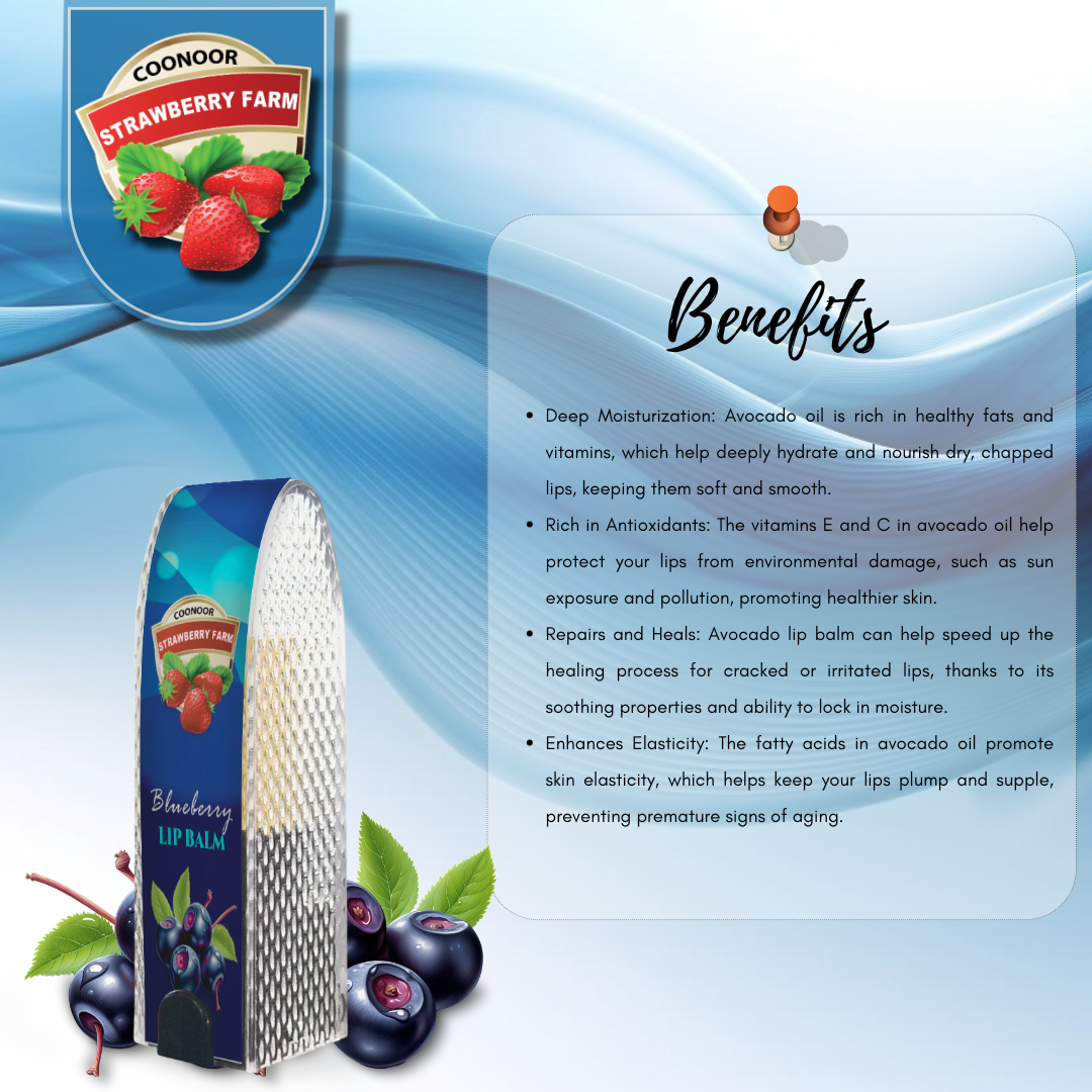 Blueberry Chapstick Lipbalm