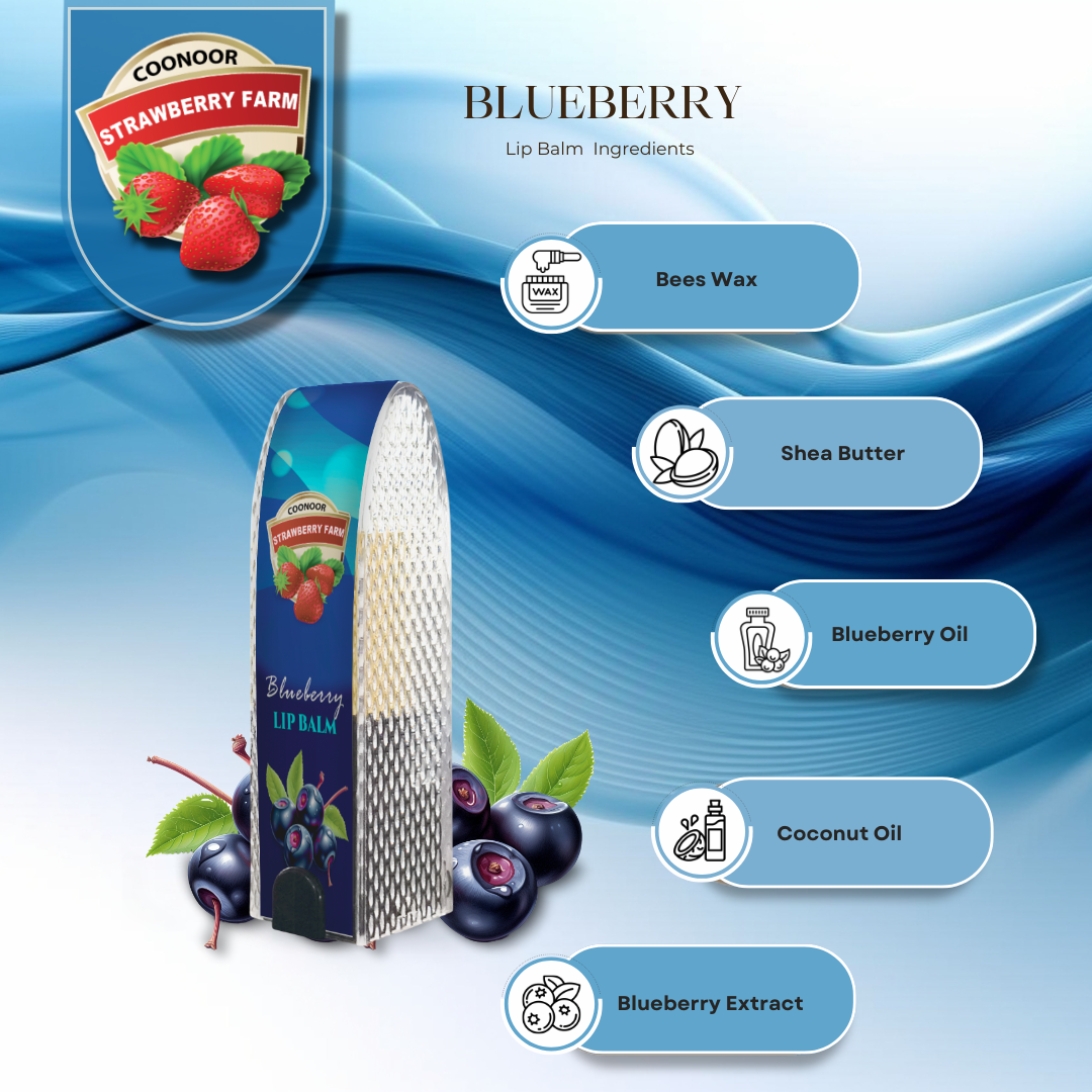 Blueberry Chapstick Lipbalm