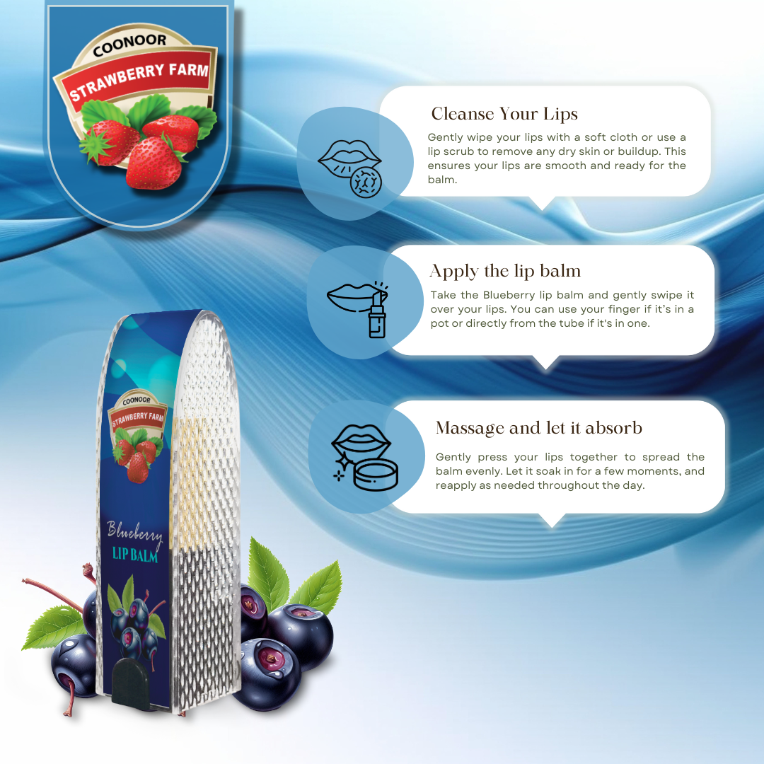 Blueberry Chapstick Lipbalm