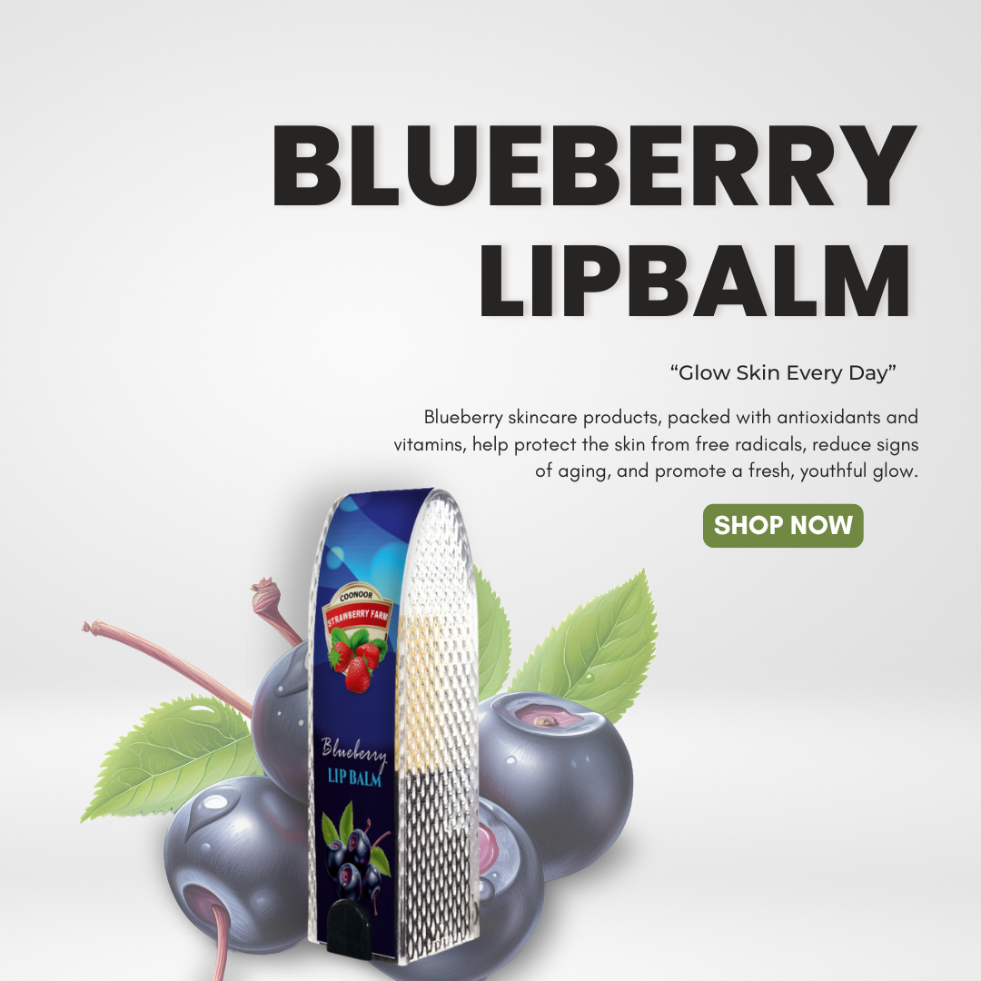 Blueberry Chapstick Lipbalm