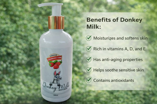 Donkey Milk Body Wash